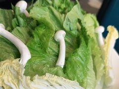 -蚝大仙横琴生蚝火锅(中央汇店)