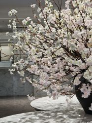 -广州美莱医疗美容医院