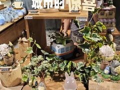 -美罗城