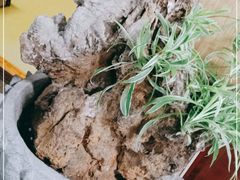 -正源安吉白茶特产享购商场(安吉店)