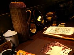 -武汉知音号