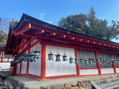-奈良公园