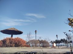 -青岛海泉湾度假区温泉