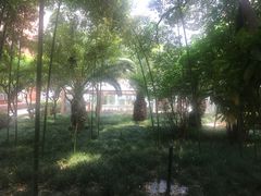 -上海外国语大学(虹口校区)