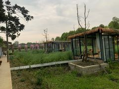 -洪湖家庭农场·团建·露营·会议