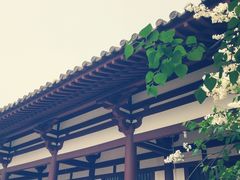 -西安青龙寺遗址景区