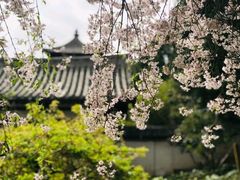-西安青龙寺遗址景区
