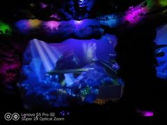 -郑州方特梦幻王国