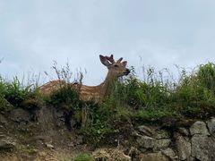 -萍乡武功山风景名胜区