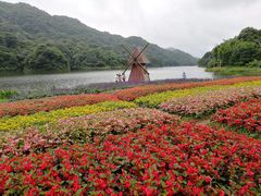 -广州市石门国家森林公园