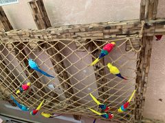 门面-美的鹭湖探索王国