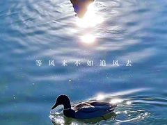 -朝阳公园