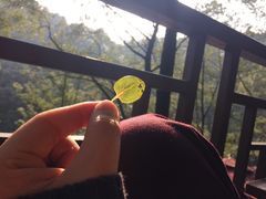 -巴倒烫陆派火锅山庄(南山总店)