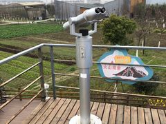 -田园东方蜜桃村的田野营地
