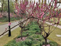 -上海市龙华烈士陵园