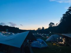 -武陵山森林公园