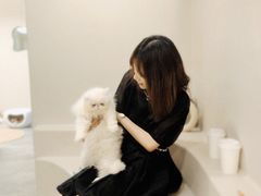 -More Fun猫咖 二十只万元加菲主题