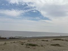 -南汇新城海滩