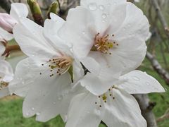 -香山湖家家宴(中山陵店)