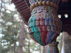 -承德避暑山庄景区