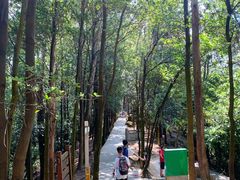 -火炉山森林公园