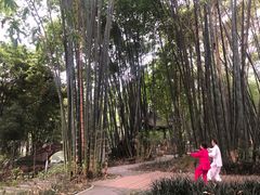 -望江楼公园