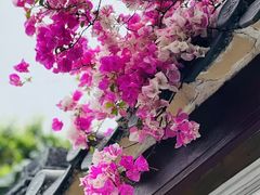 -深圳国际园林花卉博览园