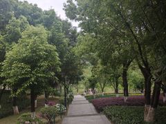 -沐仙湖湿地公园