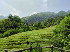 -石台牯牛降景区