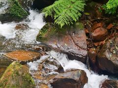 -赤水丹霞旅游区·佛光岩