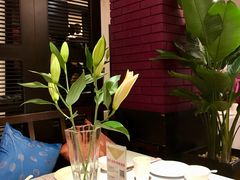 -阿诺泰·泰国餐厅(棕北店)