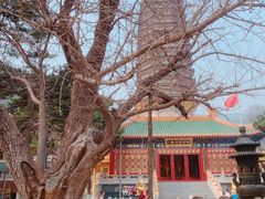 -八大处公园