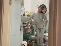 -多乐狗狗宠物训练工作室