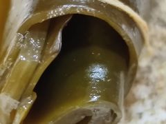 -老济南药膳把子肉(周公祠街店)