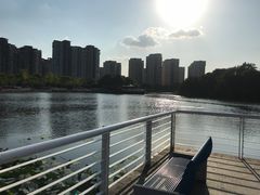 -新江湾城公园