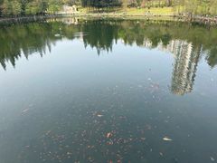 -深圳龙潭公园