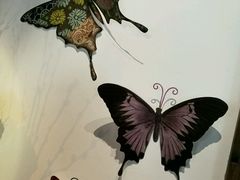-花木兰·咖啡·茶铺
