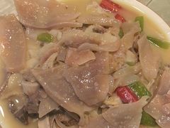 -圣厨牛腩(青春岛社区玉寿苑店)