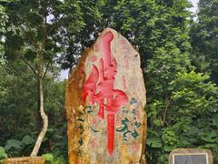 -深圳仙湖植物园