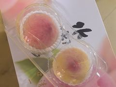 -老袁家蜜桃农场·阳山水蜜桃