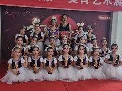 -西安小天鹅艺术团(金花路校区)