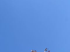 -香山公园