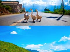 -大理洱海