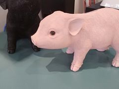 -WHEN PIGS FLY当猪飞