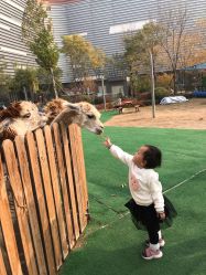 -萌宠亲子动物乐园(槐房万达店)