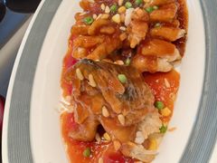 松子桂鱼-新南华大酒店(广中店)