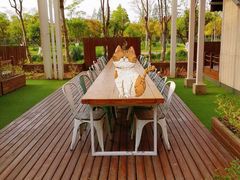 -前小桔亲子创意农场·草莓采摘·露营烧烤