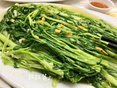 应菜-老三鱼仔店