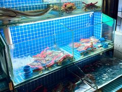 -渔记茶餐厅(渔村店)