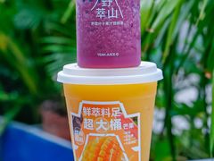 -野萃山·潮汕厚果汁(十亩地店)